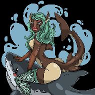 LadyShark